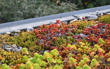 the cost of Abbeydale Park green roof installation