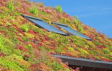 Abbeydale Park living roof systems